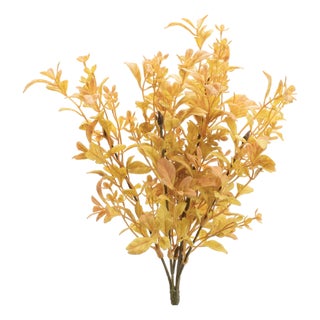 Mixed Fall Foliage Bush (Set of 6) For Sale