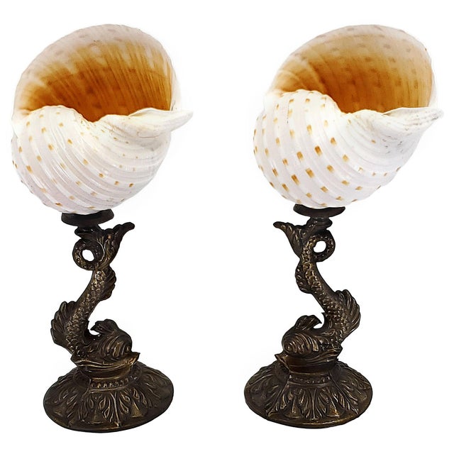 Mid 20th Century Sculpture Pair Seashells Shells & Antique Koi For Sale - Image 5 of 14