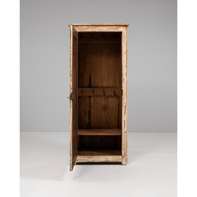 19th Century 19th Century French Wood Patinated Cabinet For Sale - Image 5 of 12