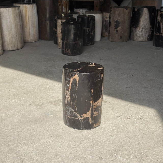 Contemporary Small Side Table in Black Petrified Wood with Striates and Beige Lower Side For Sale - Image 3 of 18