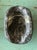Early 21st Century Vintage Italian Scagliola Pigmented Plaster Turtle Shell For Sale - Image 5 of 12