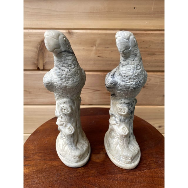 Vintage Holland Mold Cast Marble Parrots - Pair For Sale - Image 4 of 10