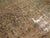 Distressed Antique Persian Kerman Rug. 7'1"x 9'7" For Sale - Image 11 of 18
