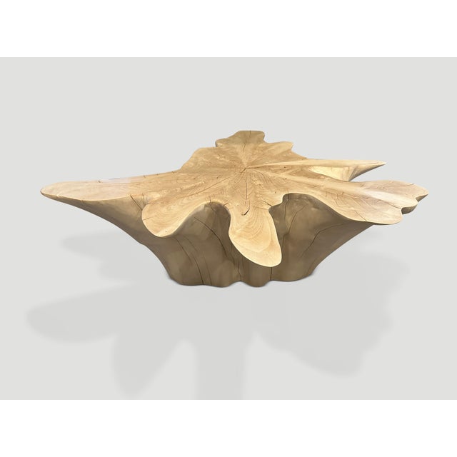 Andrianna Shamaris Amorphous Bleached Teak Wood Coffee Table For Sale - Image 17 of 18