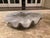 Coastal Large Grey Resin Clam Shell For Sale - Image 3 of 7