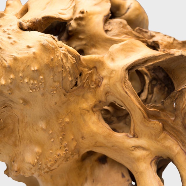 Early 18th Century Early 18th Century Chinese "Chasm" Root Sculpture For Sale - Image 5 of 5