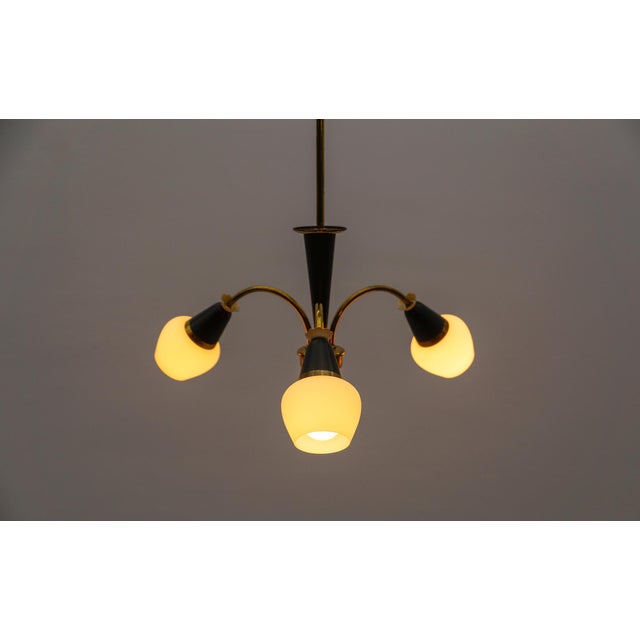 Gold Mid-Century Modern Brass 3-Armed Sputnik Lamp, 1950s For Sale - Image 8 of 13