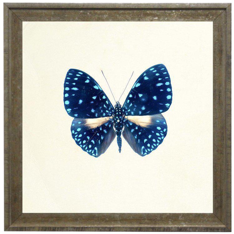 Blue butterfly 様 Blue Morpho Butterfly Leather Ponytail Holder - Beadmask