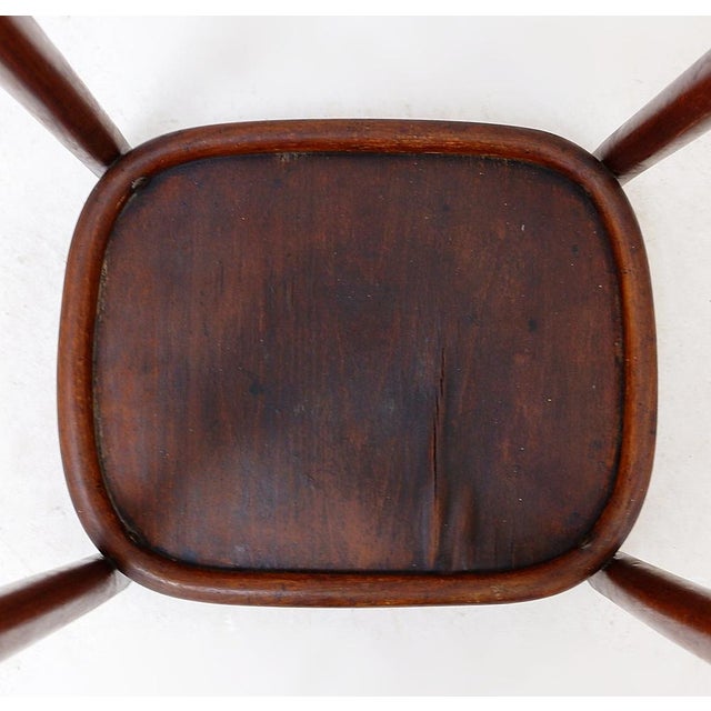 Wood Bentwood Pedestal Flower Stand from Jacob & Josef Kohn, 1890s For Sale - Image 7 of 15