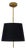 Regina Andrew Clove Pendant Small, Black Shade For Sale