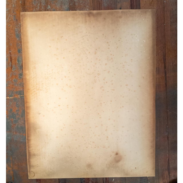 19th Century English or American Pencil Portrait Drawing of a Girl and Her Dog For Sale - Image 17 of 17