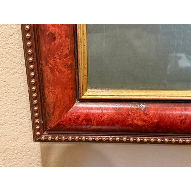 Ethan Allen Ethan Allen Framed Mamey Sopote Tree Print For Sale - Image 4 of 10