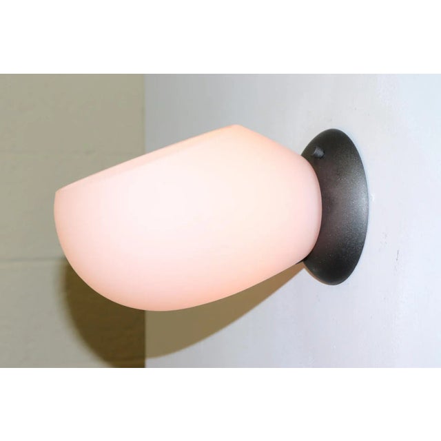 Murano Modern Murano Rose Glass Wall Lamp For Sale - Image 4 of 13