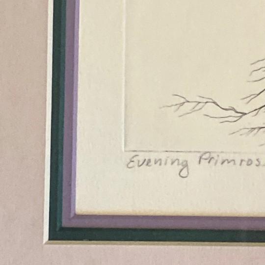 Purple Dan Mitra “Evening Primrose” Hand-Colored Signed Etching (Limited Edition 84/950, Framed, Pencil Signed, Vintage) For Sale - Image 8 of 18