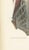 Gold Hirschfeld and Leveille, Brain and Spinal Cord with the Spinal Nerves, 1866, Paper For Sale - Image 8 of 12