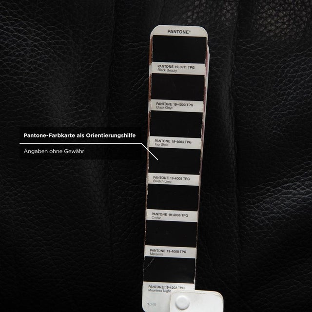 DS-17 Club Chair in Leather from de Sede For Sale - Image 9 of 14