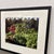 Israel Fruit and Vegetable Market Stand Photograph, Framed For Sale - Image 11 of 12