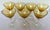 1930s 1930s Mid-Century Cambridge Glass Amber & Clear Stem Champagne Coupes - Set of 7 For Sale - Image 5 of 18