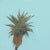 Mid-Century Modern Mid-Century Mod PSP - Palm Springs Modern Travel Painting - Original Artwork by Kathleen Keifer For Sale - Image 3 of 9