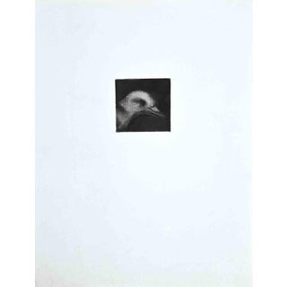 Giselle Halff, The Bird, Etching, Mid-20th Century For Sale