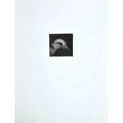 Giselle Halff, The Bird, Etching, Mid-20th Century For Sale