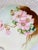 A beautiful, rare, hand-painted, art, nouveau, wild pink roses, decorative plate, awaits your decor. It would brighten any...
