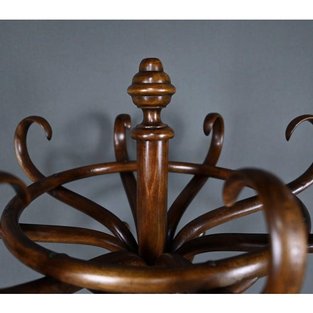 Early 20th Century Parrot Coat Rack in Beechwood, 1890s For Sale - Image 5 of 18