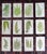 Antique 19th Century Botanical Fern Wood Engravings - Set of 12 For Sale - Image 9 of 9