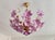 Glass 1980s Italian Style Hand-Painted Pink and Purple Murano Glass Floral Chandelier - 4-Light⁠ For Sale - Image 7 of 18