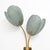Murano Glass and Brass Tulips Sconces, 2000s, Set of 2 For Sale - Image 4 of 11