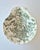 Vintage English Green Transferware Vanity Set by Crown Devon Fieldings, 1940s, Set of 3 For Sale - Image 9 of 15