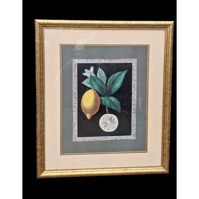 Large piece of Lemon Fruit Framed Art with a Marbled Border, Made by Chelsea House 23.5"W x 27.5"H ** Framed Art will be...