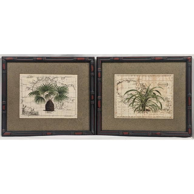 Set of 4 Framed Green Botanical Palm Prints on Antique Maps – Ralph Lauren Style For Sale - Image 4 of 14