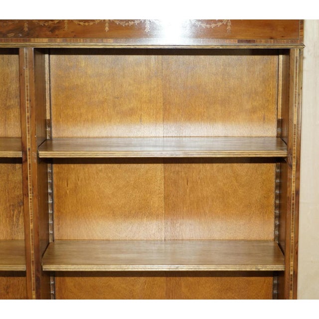 Sheraton Revival Satinwood, Burr Walnut & Yew Wood Library Bookcases, Set of 2 For Sale - Image 13 of 18