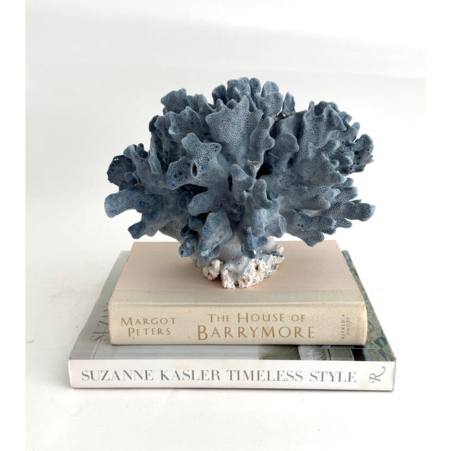 This large natural Blue Coral specimen has all around good symmetry with a cut and polished base to protect surfaces. Each...