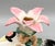 1996 Fitz & Floyd Crane & Lily Ceramic Candlestick Holder – Chinoiserie / Hollywood Regency For Sale - Image 10 of 12