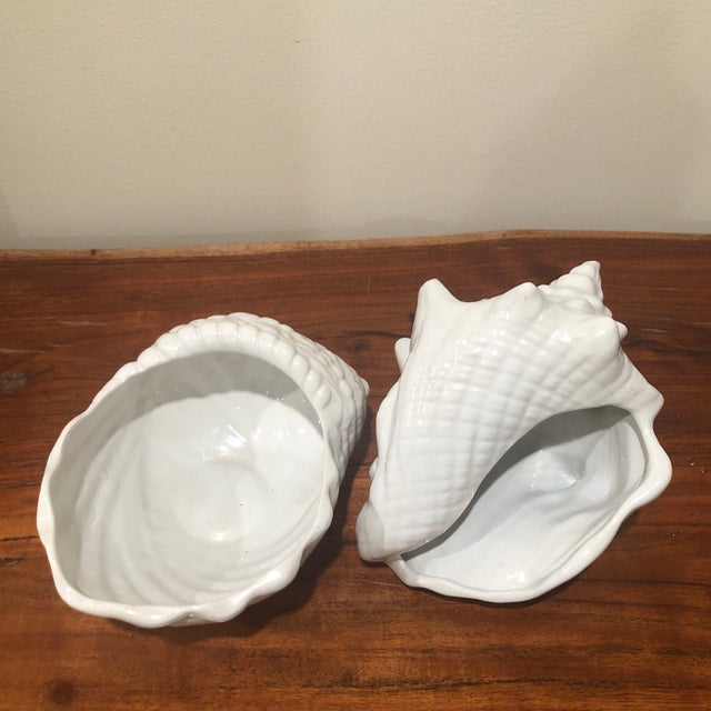 Late 20th Century Pearl White Conch Shells Cachepots Set of 2 Chairish