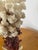 Shell 1960s Marine Arrangement - White Coral Cluster on Faux Red Coral Stand For Sale - Image 7 of 8