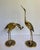 Brass Mid-Century Chinoiserie Brass Crane Figurines on Round Bases - Pair For Sale - Image 8 of 11