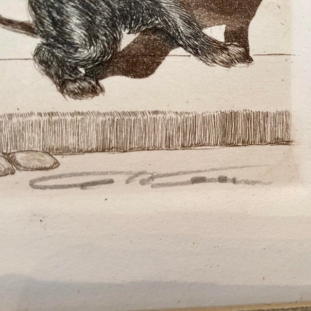 French Framed French "Dirty Dogs of Paris" Hand Colored Etching by Boris O'Klein For Sale - Image 3 of 8