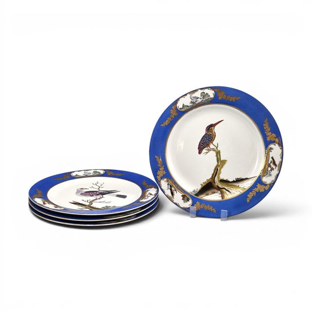 Royal Blue Bird Display Plates from Chelsea House, 1980s, Set of 4 For Sale - Image 11 of 11