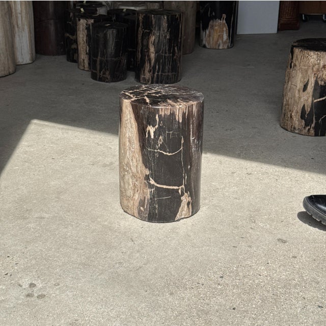 Side Table in Black Petrified Wood with Beige Fine Mesh Pattern For Sale - Image 11 of 18