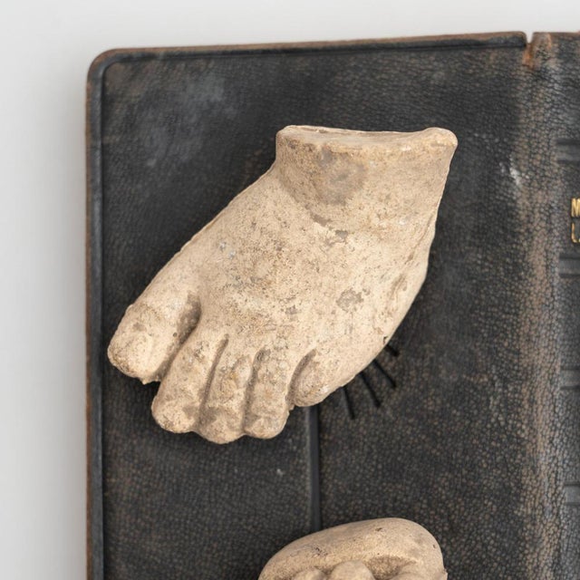 Sculpture Materials Cabinet of Curiosities Book Sculptural Artwork, 1950s For Sale - Image 7 of 18