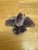1960s Set of Four Natural Rugged Amethyst Rock Crystals For Sale - Image 5 of 7