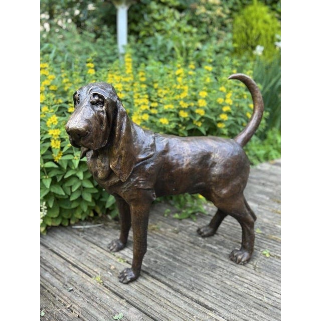 Life-Size Bronze Bloodhound Garden Statue from Christian Maas For Sale - Image 10 of 18