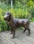 Life-Size Bronze Bloodhound Garden Statue from Christian Maas For Sale - Image 10 of 18