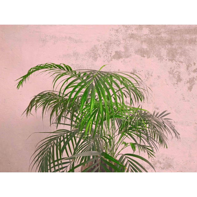 Archival pigment ink print on canvas, edition of 15 This piece is attributed to the mentioned designer/maker. It has no...