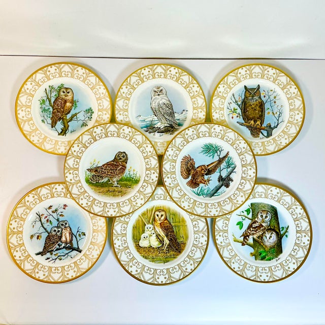 American 1980 Vintage Arts & Crafts English Bone China Owl Dinner Plates -Set of 8. For Sale - Image 3 of 18