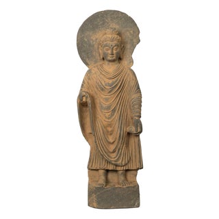 Ancient Indian Carved Stone Gandharan Shakyamuni Buddha Statue 2nd Century a.d. For Sale