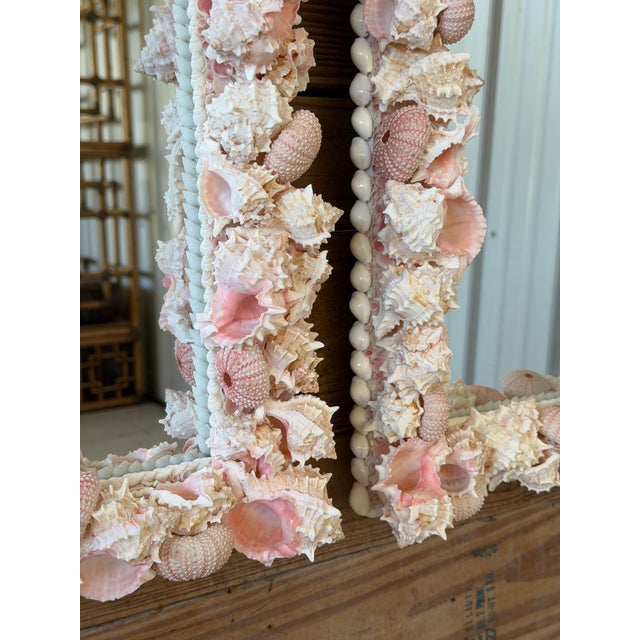 Custom Coastal Organic Sculptural Pink Seashell Wall Mirror For Sale - Image 4 of 12